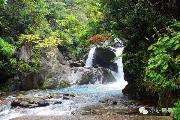 神龙架在哪儿_神龙架的景点介绍_神龙架天生桥旅游攻略