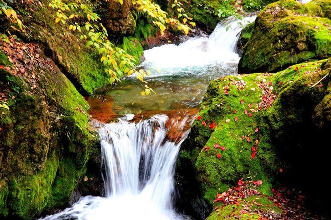 神农架武当山旅游攻略_武当山神农架在湖北省哪里_湖北神农架武当山旅游攻略