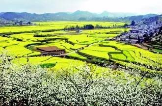 徒步万峰林_万峰林旅游攻略自驾游_游万峰林需要多少时间