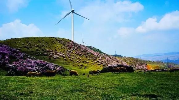 游万峰林需要多少时间_万峰林旅游攻略自驾游_徒步万峰林