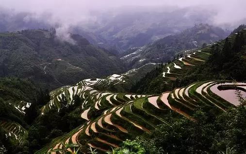 游万峰林需要多少时间_徒步万峰林_万峰林旅游攻略自驾游