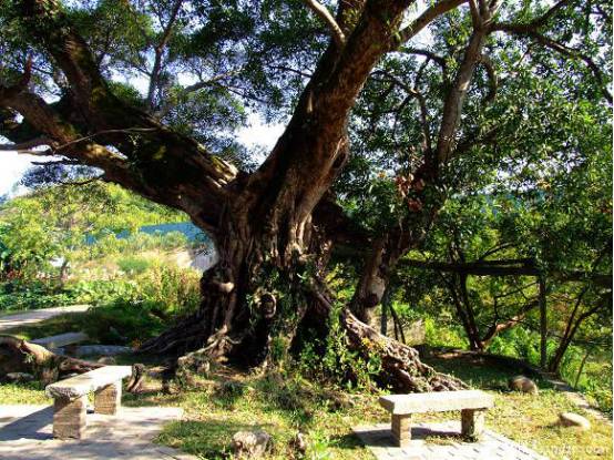 龙川风景区旅游攻略_龙川风景图片_龙川风景区好玩吗