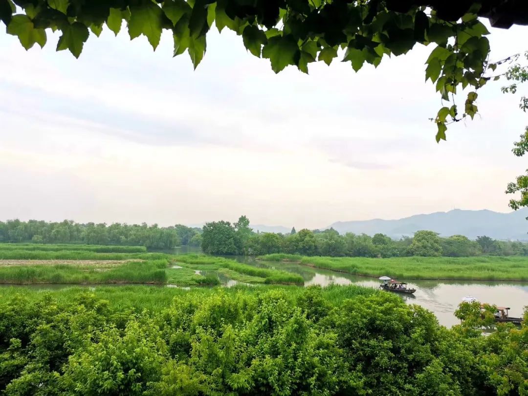 西溪湿地西区旅游攻略_西溪湿地游览路线_西溪湿地旅游景区