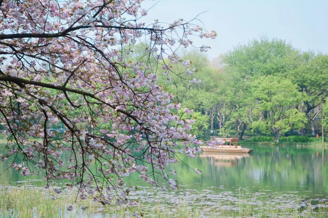 西溪湿地旅游景区_西溪湿地西区旅游攻略_西溪湿地游览路线