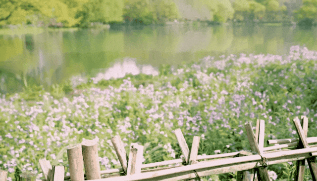 西溪湿地游览路线_西溪湿地旅游景区_西溪湿地西区旅游攻略