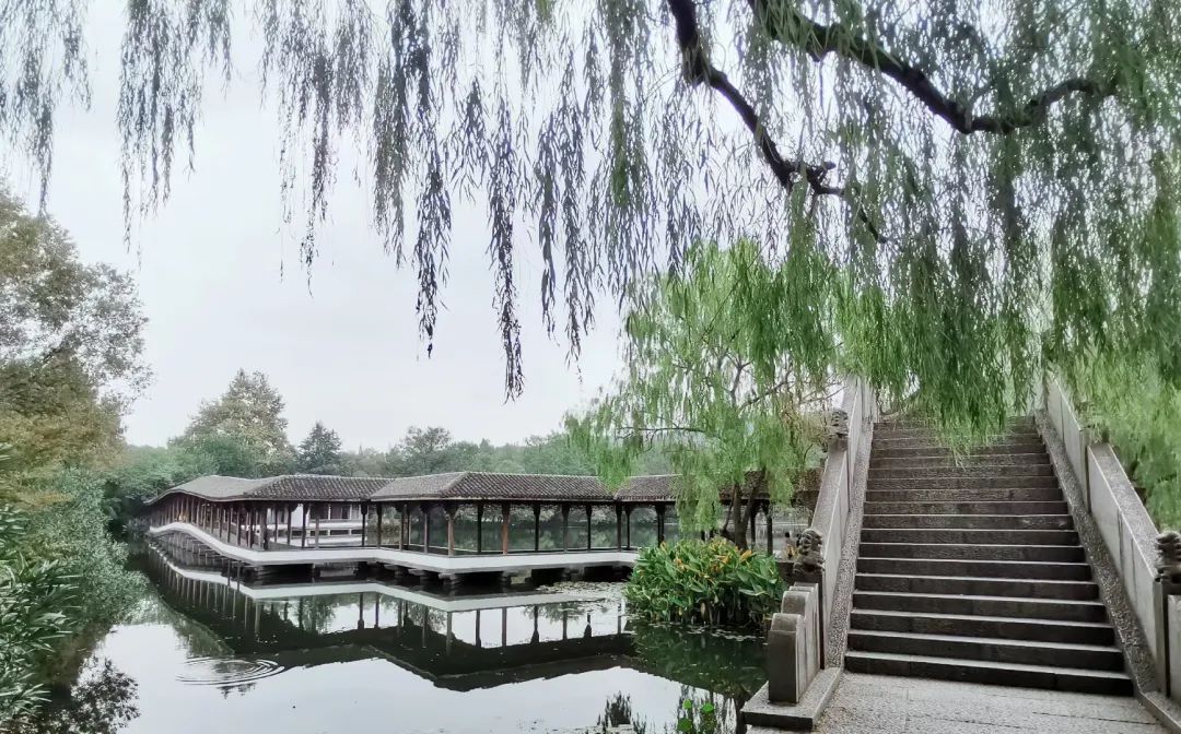 西溪湿地游览路线_西溪湿地旅游景区_西溪湿地西区旅游攻略