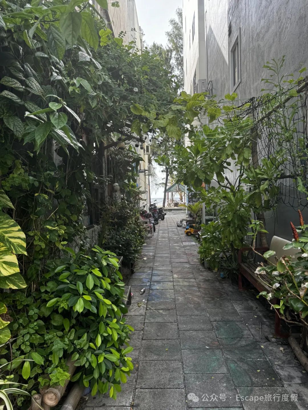 马尔代夫旅游攻略大概多少钱_马尔代夫旅游攻略 注意事项_马尔代夫旅游流程