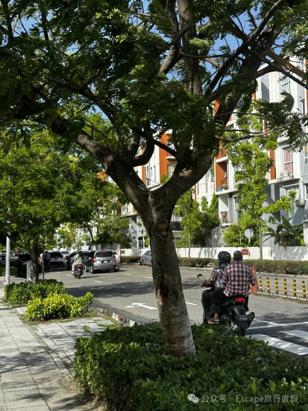 马尔代夫旅游攻略 注意事项_马尔代夫旅游流程_马尔代夫旅游攻略大概多少钱