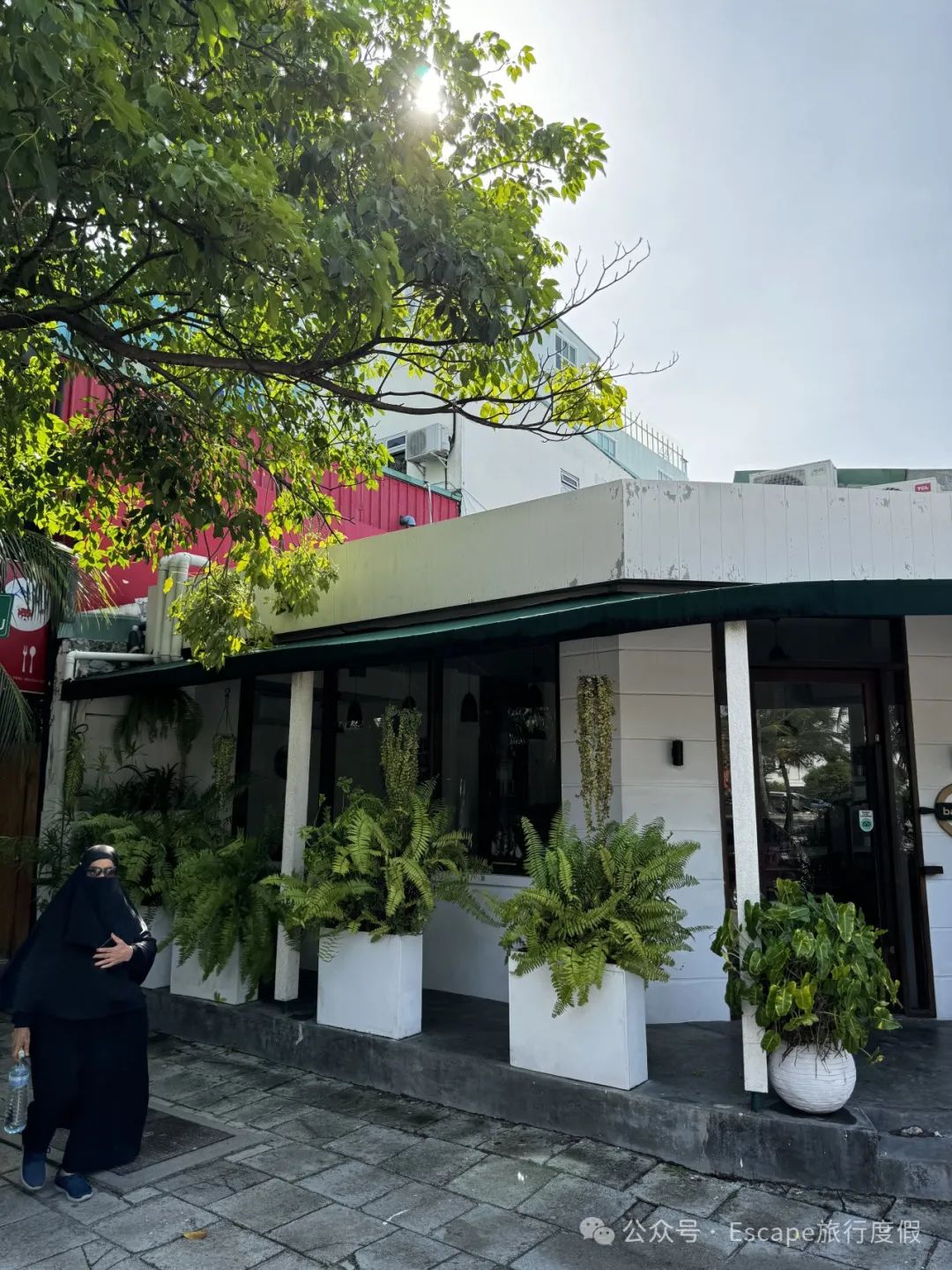 马尔代夫旅游攻略大概多少钱_马尔代夫旅游流程_马尔代夫旅游攻略 注意事项