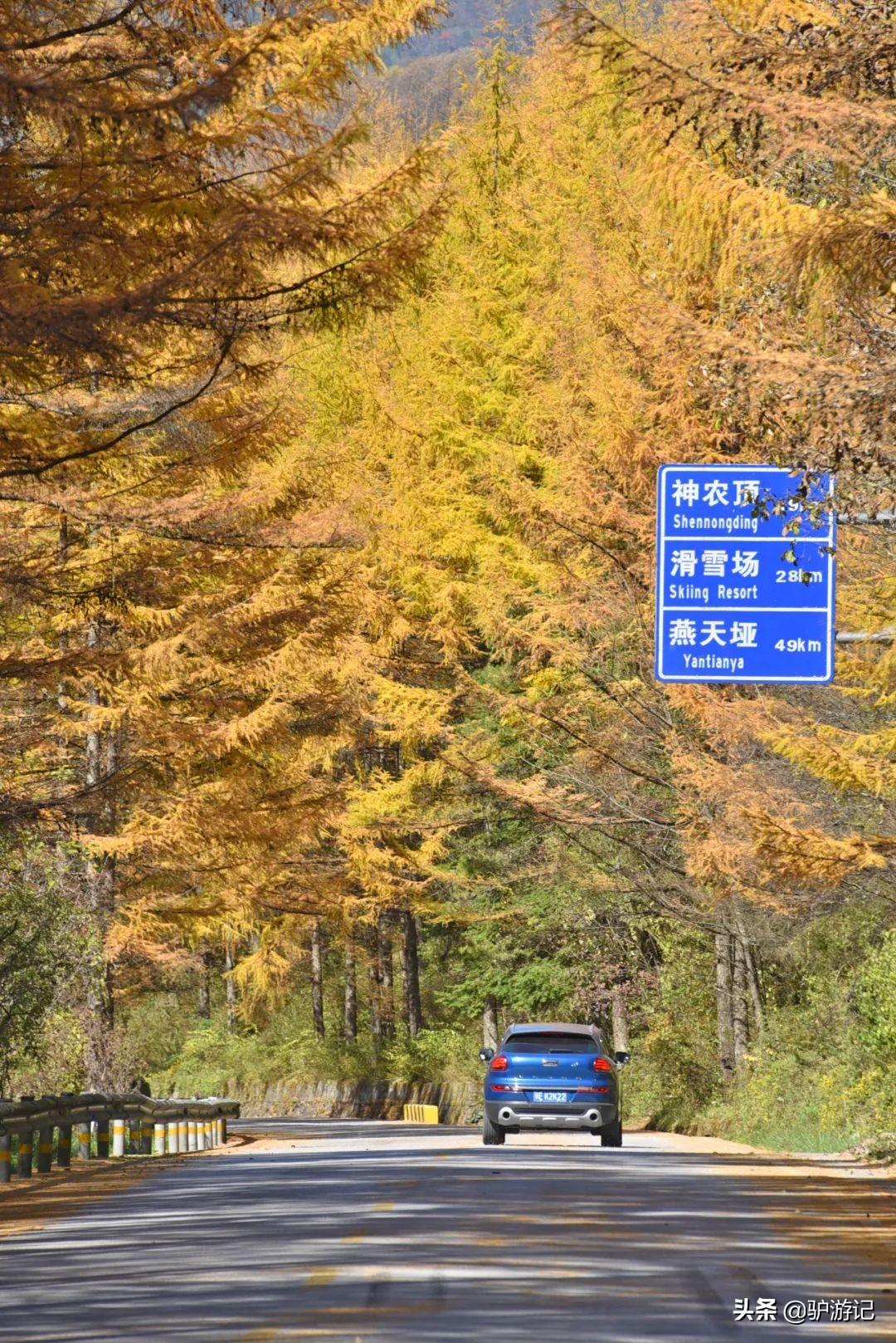 武当山神农架四日游_神农架武当山旅游攻略_湖北神农架武当山旅游攻略