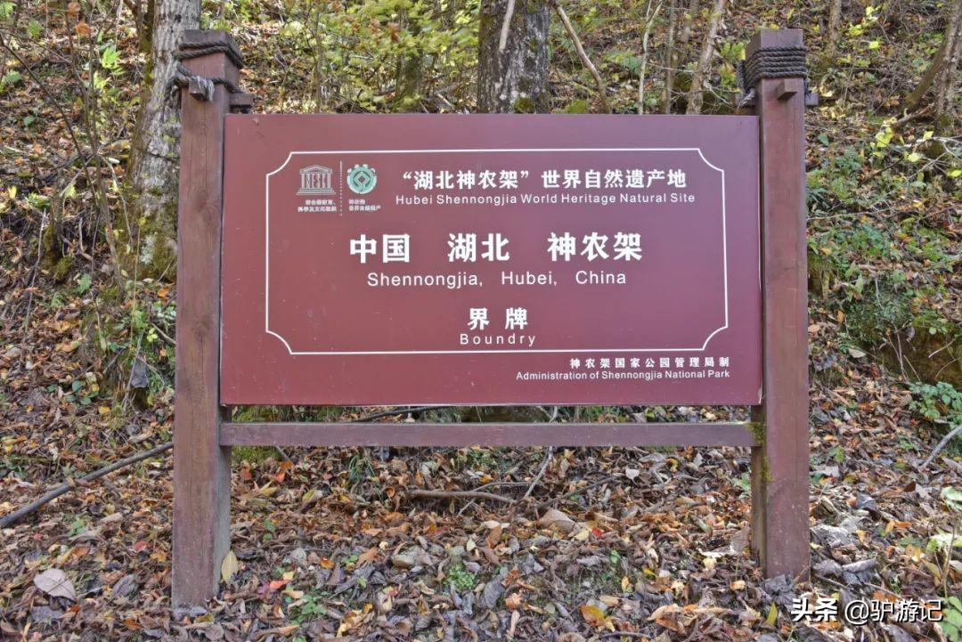湖北神农架武当山旅游攻略_神农架武当山旅游攻略_武当山神农架四日游