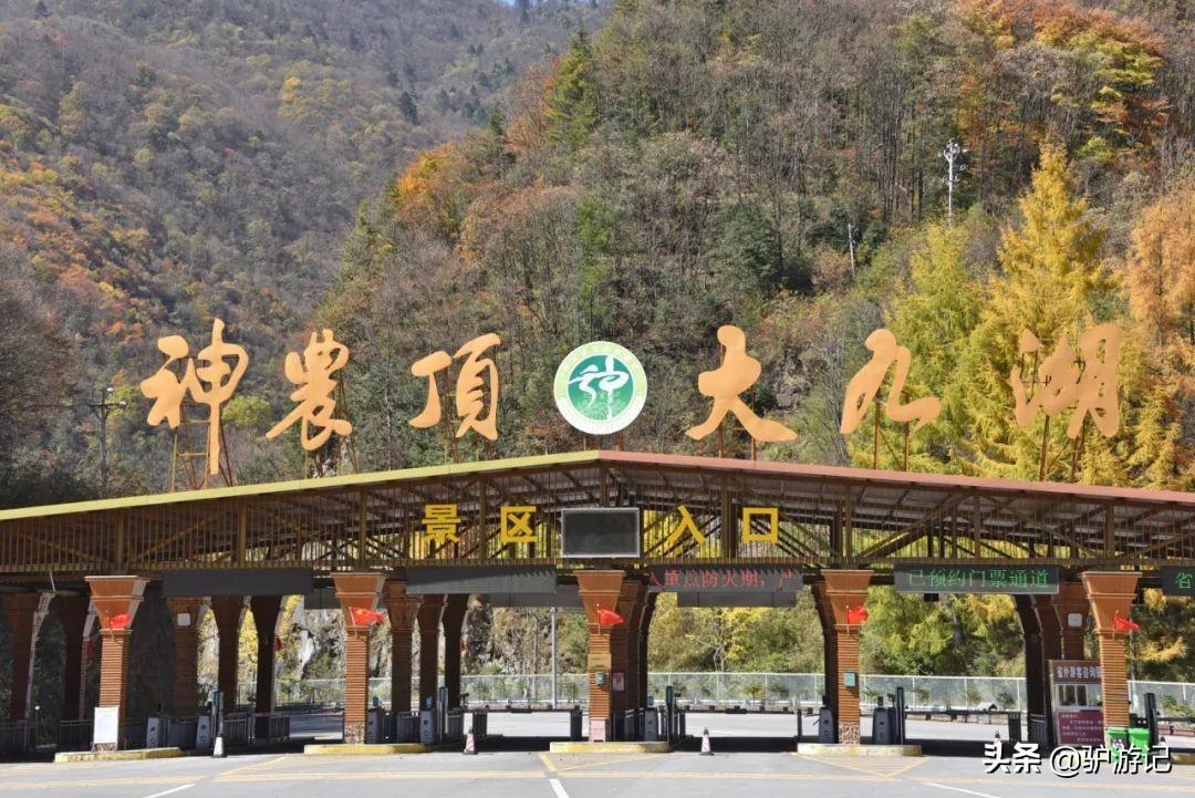 武当山神农架四日游_湖北神农架武当山旅游攻略_神农架武当山旅游攻略