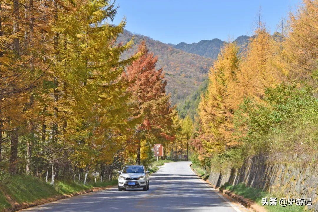 武当山神农架四日游_湖北神农架武当山旅游攻略_神农架武当山旅游攻略