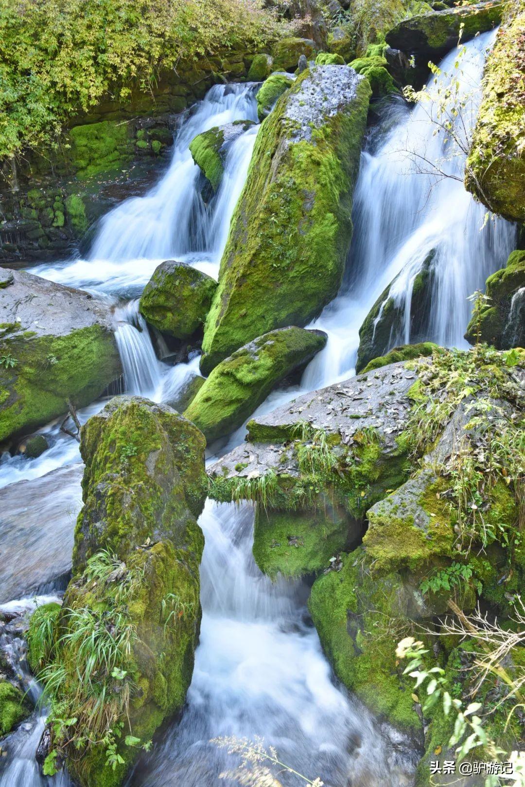 湖北神农架武当山旅游攻略_神农架武当山旅游攻略_武当山神农架四日游