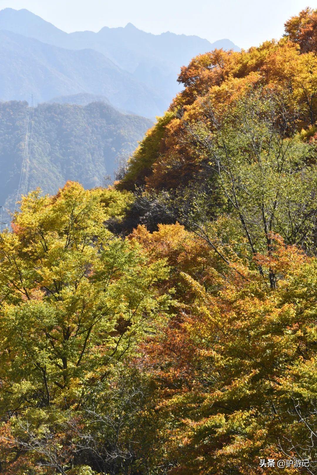 湖北神农架武当山旅游攻略_武当山神农架四日游_神农架武当山旅游攻略