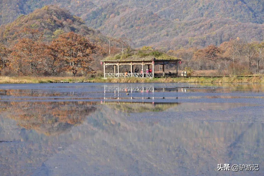 武当山神农架四日游_神农架武当山旅游攻略_湖北神农架武当山旅游攻略
