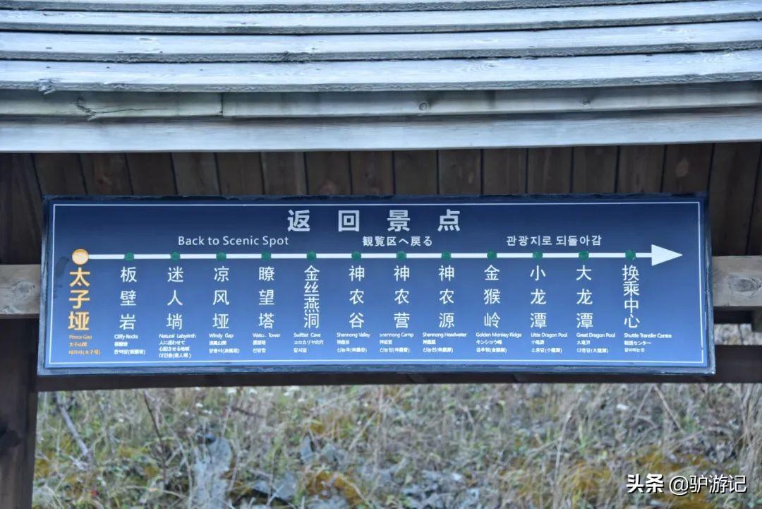 湖北神农架武当山旅游攻略_武当山神农架四日游_神农架武当山旅游攻略