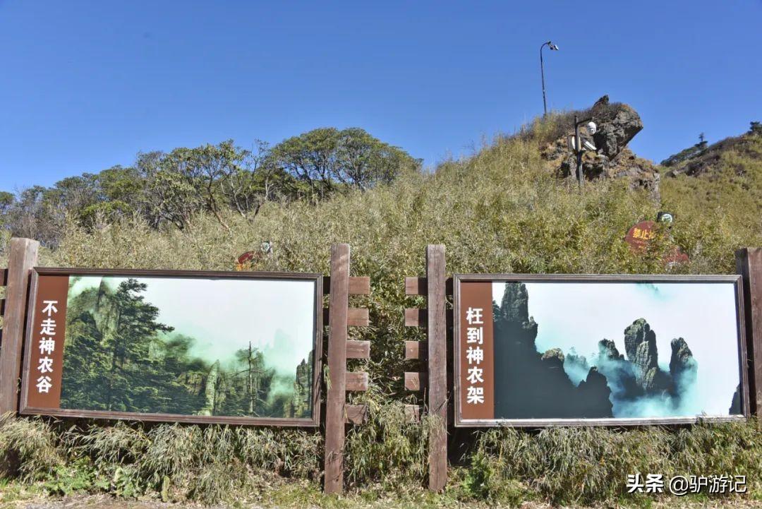 湖北神农架武当山旅游攻略_武当山神农架四日游_神农架武当山旅游攻略