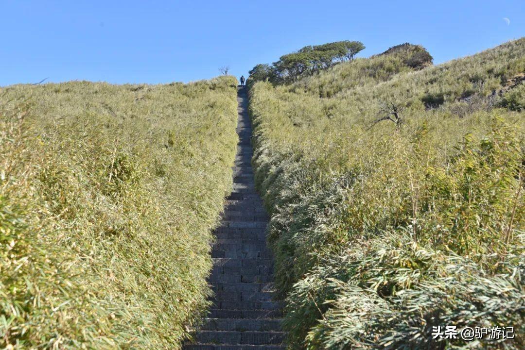神农架武当山旅游攻略_武当山神农架四日游_湖北神农架武当山旅游攻略