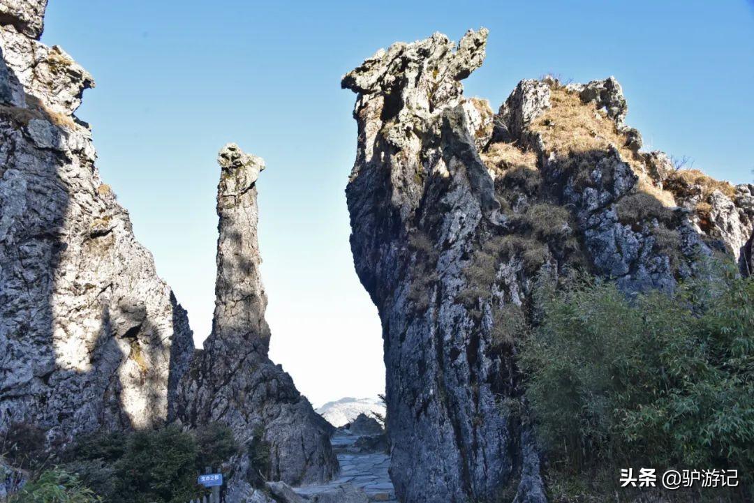 湖北神农架武当山旅游攻略_武当山神农架四日游_神农架武当山旅游攻略