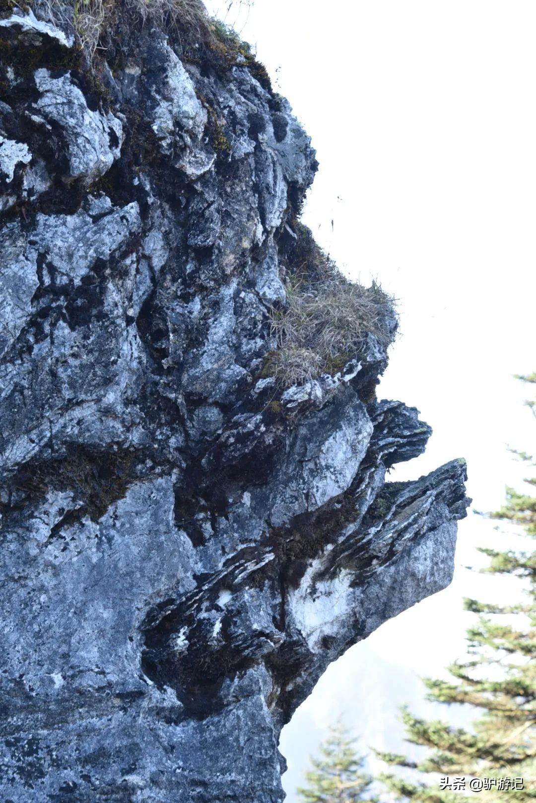 神农架武当山旅游攻略_武当山神农架四日游_湖北神农架武当山旅游攻略