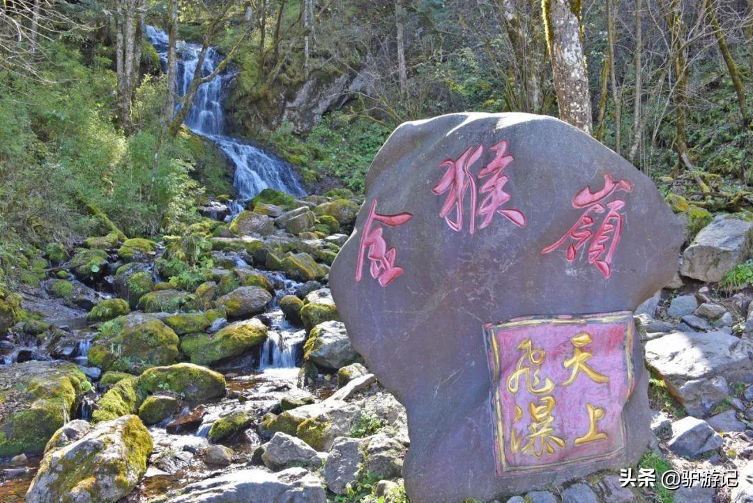 湖北神农架武当山旅游攻略_武当山神农架四日游_神农架武当山旅游攻略
