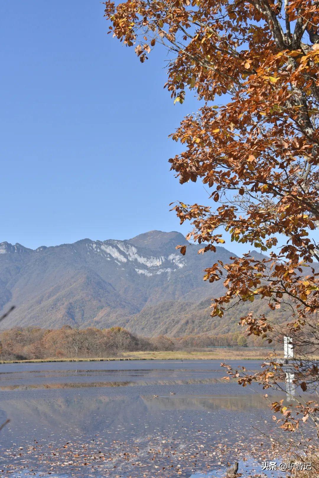 神农架武当山旅游攻略_湖北神农架武当山旅游攻略_武当山神农架四日游