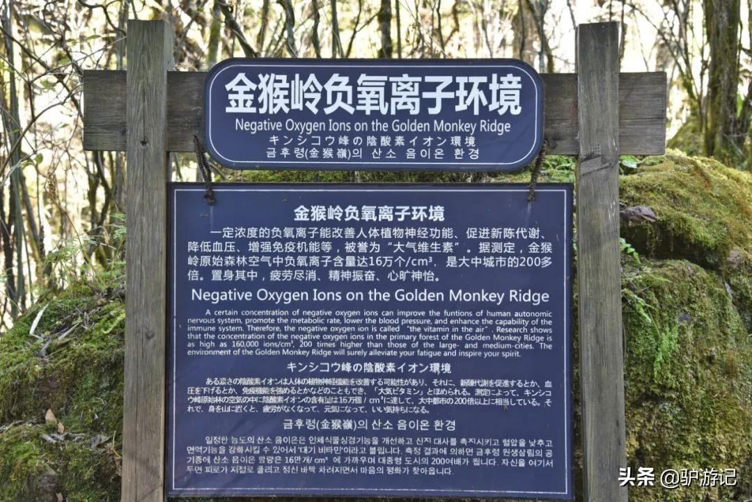 湖北神农架武当山旅游攻略_武当山神农架四日游_神农架武当山旅游攻略