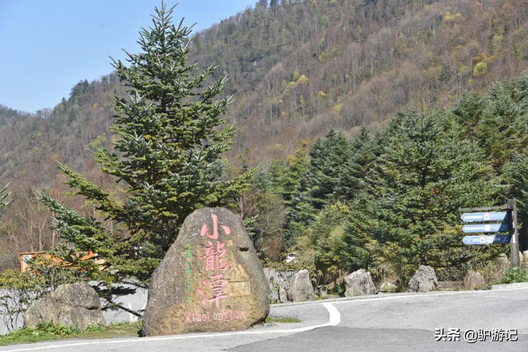 武当山神农架四日游_湖北神农架武当山旅游攻略_神农架武当山旅游攻略