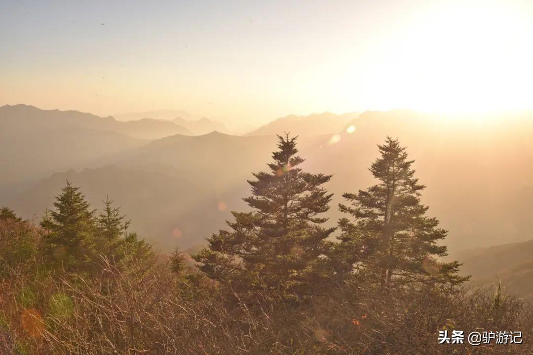 神农架武当山旅游攻略_武当山神农架四日游_湖北神农架武当山旅游攻略