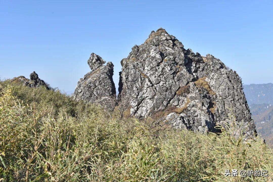 武当山神农架四日游_湖北神农架武当山旅游攻略_神农架武当山旅游攻略