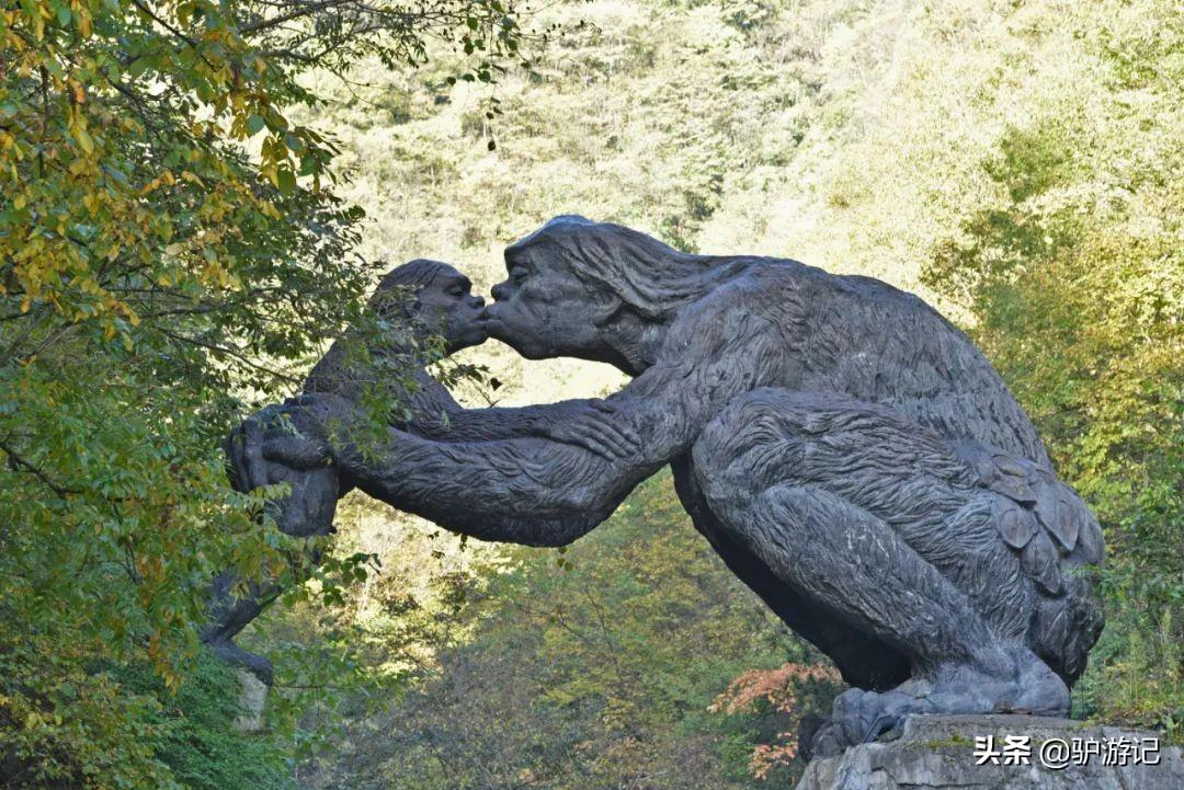武当山神农架四日游_神农架武当山旅游攻略_湖北神农架武当山旅游攻略