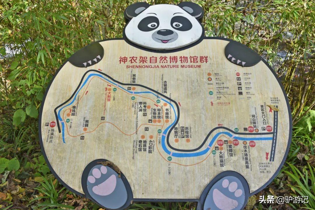 神农架武当山旅游攻略_武当山神农架四日游_湖北神农架武当山旅游攻略