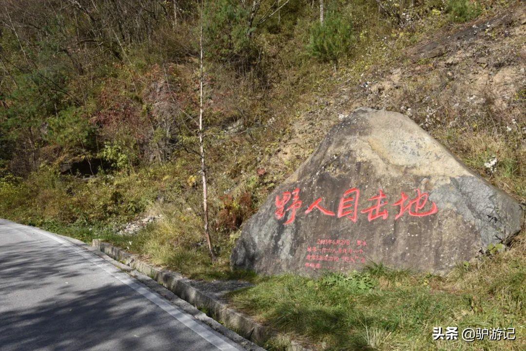 神农架武当山旅游攻略_武当山神农架四日游_湖北神农架武当山旅游攻略