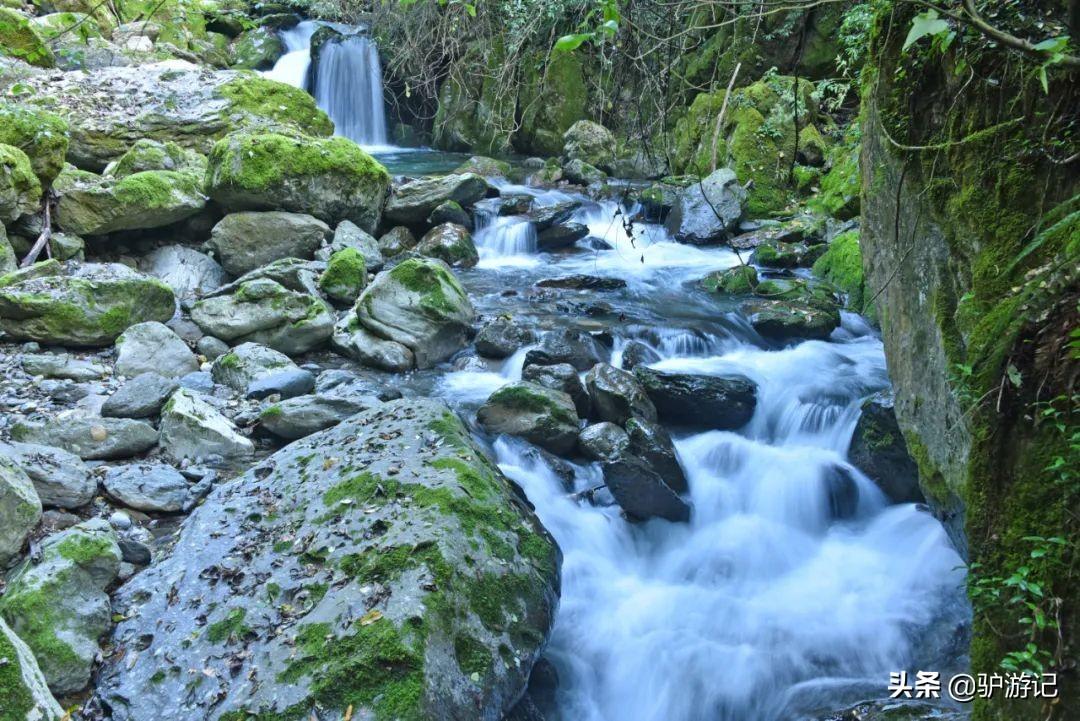 神农架武当山旅游攻略_湖北神农架武当山旅游攻略_武当山神农架四日游