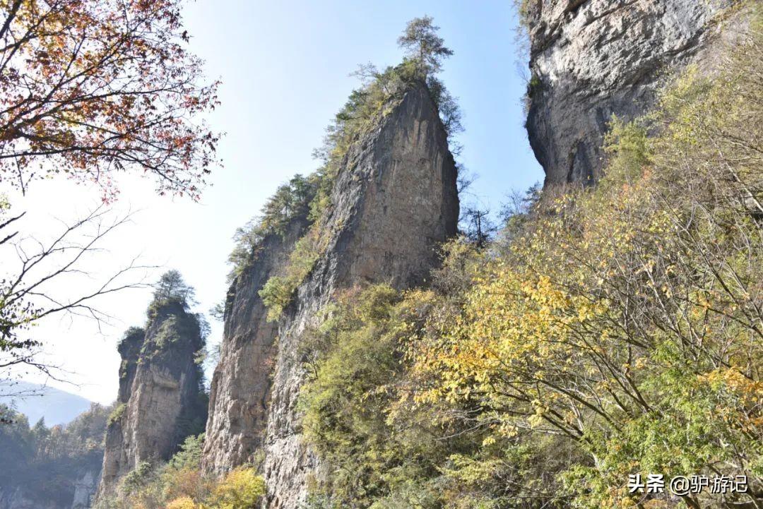 湖北神农架武当山旅游攻略_神农架武当山旅游攻略_武当山神农架四日游