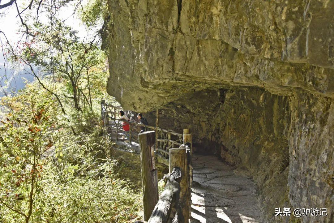 武当山神农架四日游_神农架武当山旅游攻略_湖北神农架武当山旅游攻略