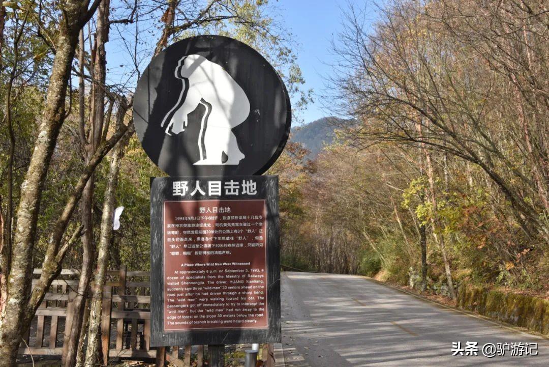 武当山神农架四日游_湖北神农架武当山旅游攻略_神农架武当山旅游攻略