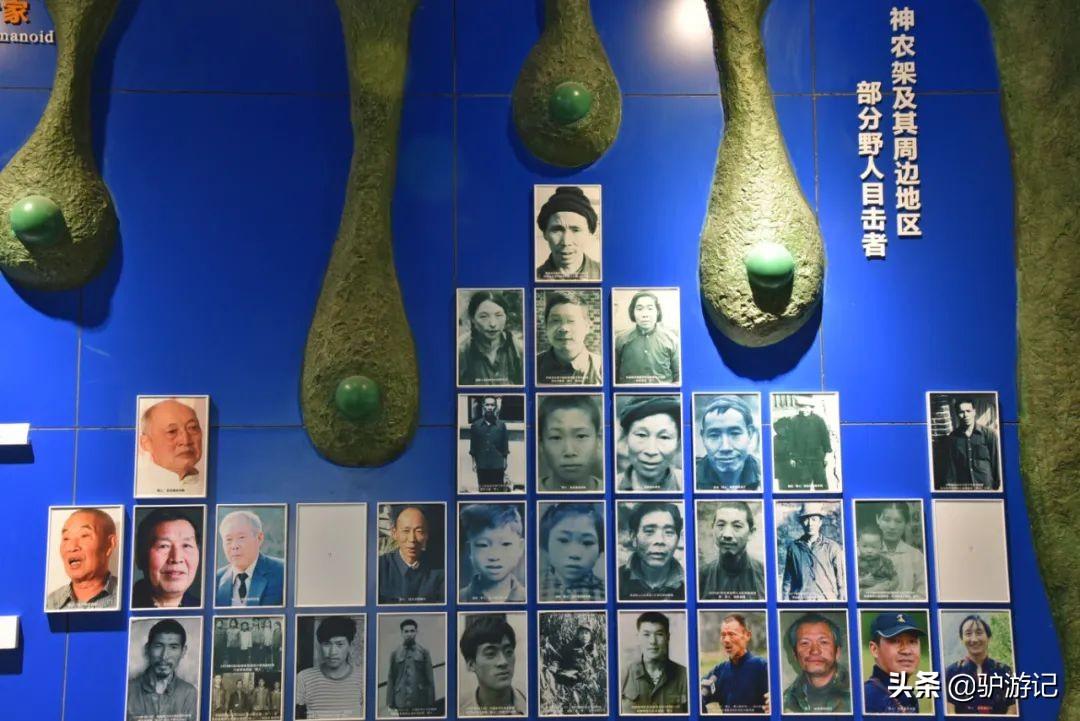 武当山神农架四日游_湖北神农架武当山旅游攻略_神农架武当山旅游攻略