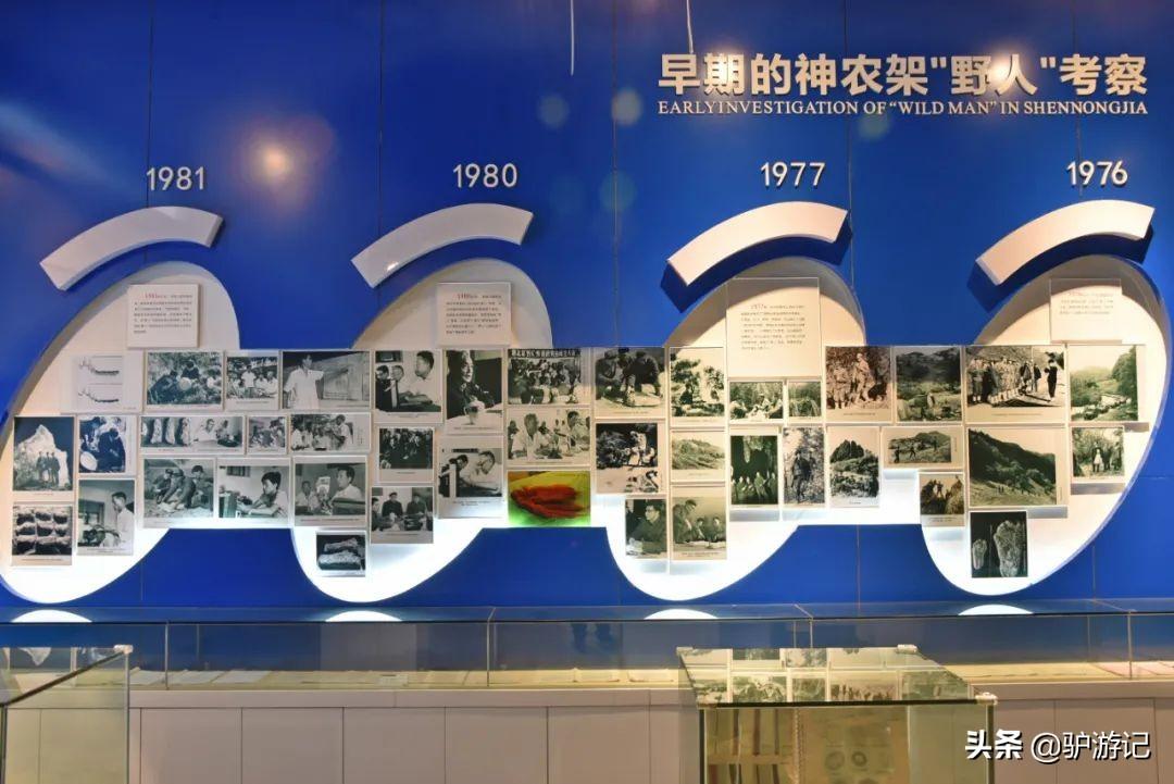 神农架武当山旅游攻略_武当山神农架四日游_湖北神农架武当山旅游攻略