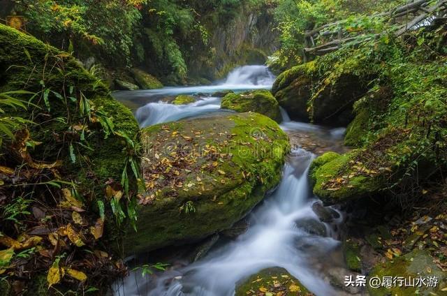 湖北神农架武当山旅游攻略_神农架武当山旅游攻略_武当山神农架四日游