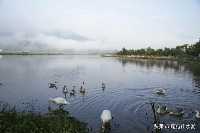 湖北神农架武当山旅游攻略_神农架武当山旅游攻略_武当山神农架四日游