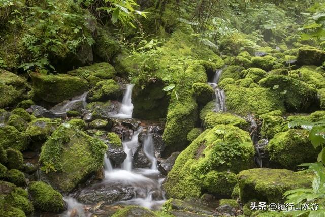 神农架武当山旅游攻略_湖北神农架武当山旅游攻略_武当山神农架四日游