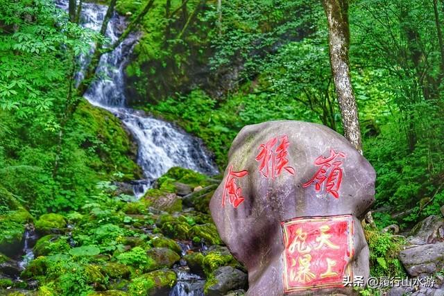 神农架武当山旅游攻略_湖北神农架武当山旅游攻略_武当山神农架四日游