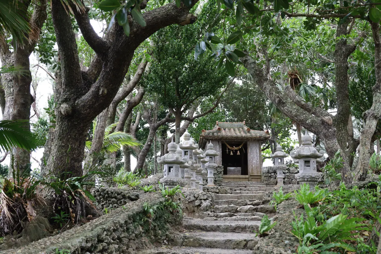 旅游游轮游日本冲绳岛_冲绳邮轮下船自由活动_邮轮冲绳旅游攻略