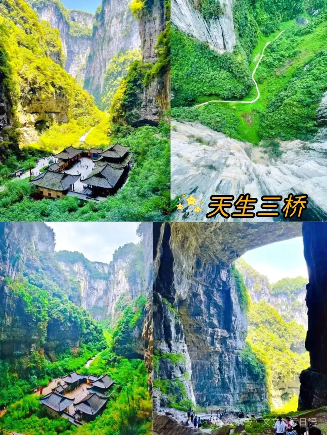 重庆武隆仙女山风景图片_重庆武隆仙女山旅游攻略_重庆武隆山仙女山