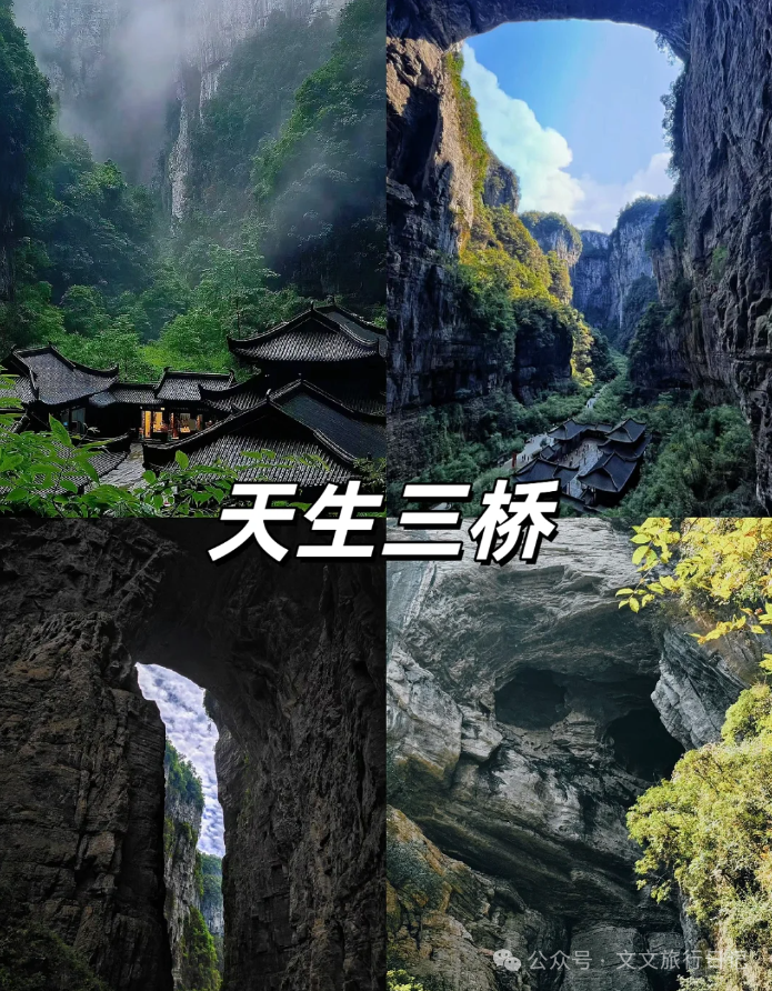 重庆武隆仙女山旅游攻略_重庆武隆仙女山风景图片_重庆武隆山仙女山