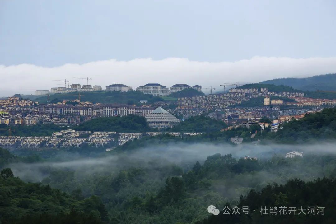 重庆武隆仙女山旅游攻略_重庆武隆仙女山风景图片_重庆武隆旅游景点仙女山