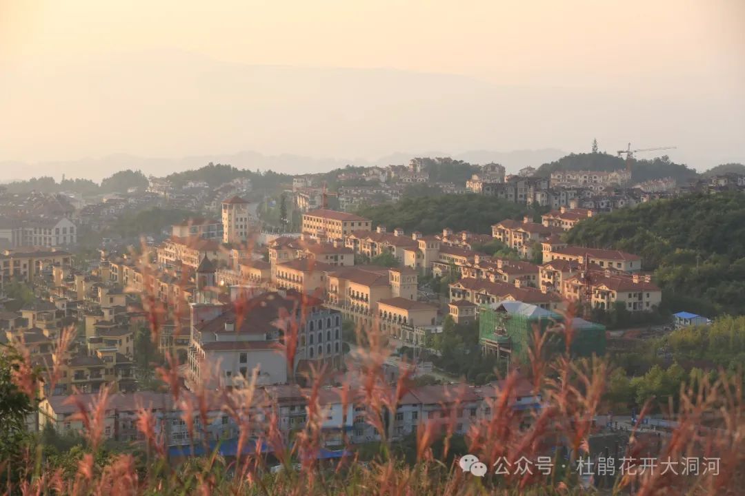 重庆武隆旅游景点仙女山_重庆武隆仙女山风景图片_重庆武隆仙女山旅游攻略