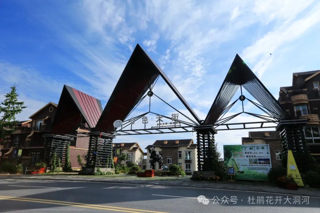 重庆武隆仙女山风景图片_重庆武隆旅游景点仙女山_重庆武隆仙女山旅游攻略